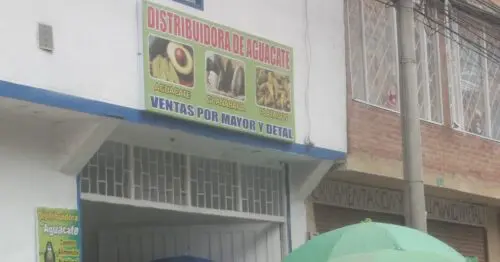 DISTRIBUIDORA DE AGUACATE DISTRIBUIDORA DE AGUACATE